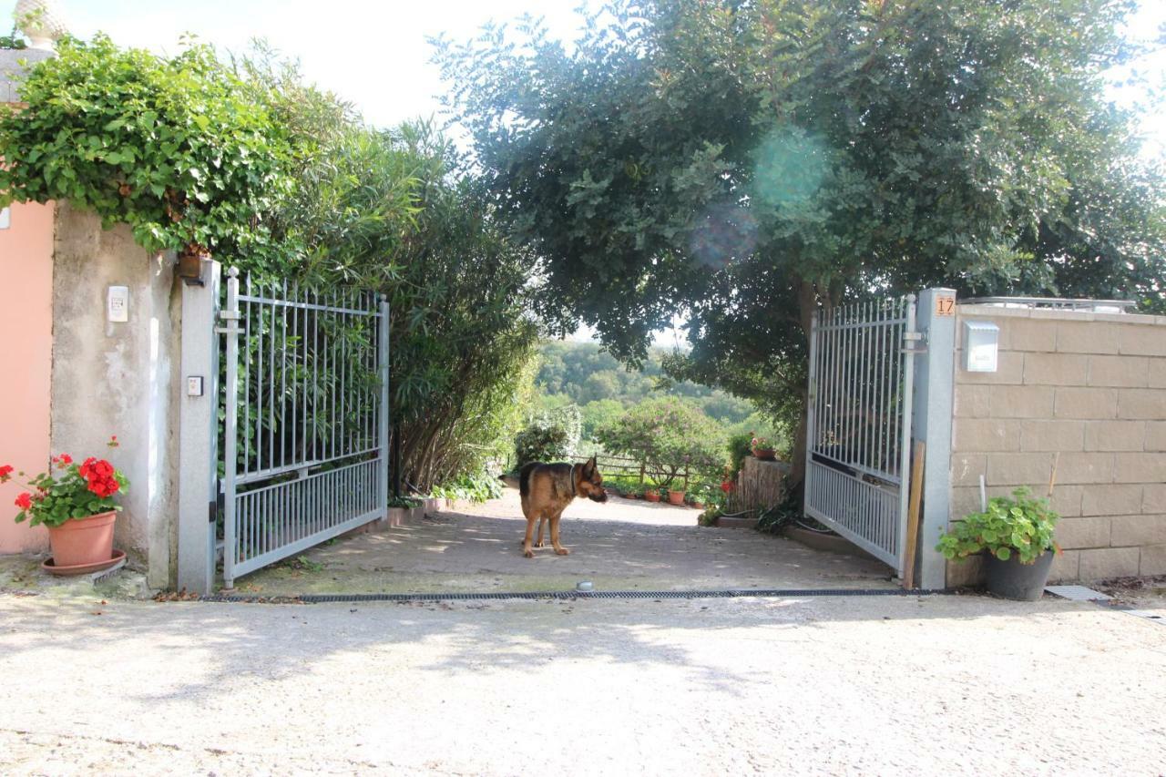 Hostal Rita Sassari Exterior foto